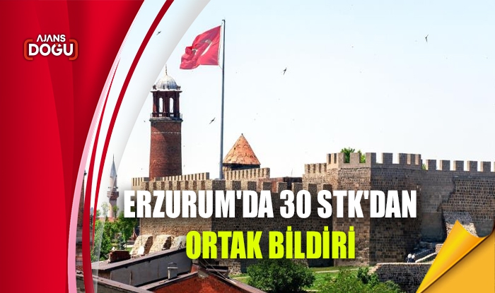 Erzurum'da 30 STK'dan ortak bildiri