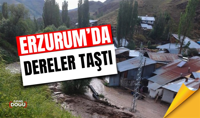 Erzurum'da dereler taştı