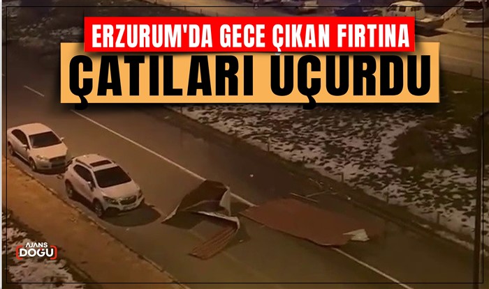 Erzurum'da fırtına çatıları uçurdu