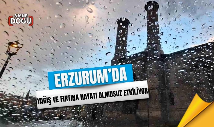 Erzurum'da yağış ve fırtına hayatı olumsuz etkiliyor