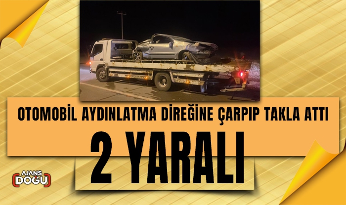 Otomobil aydınlatma direğine çarpıp takla attı: 2 yaralı