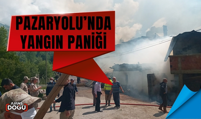 Pazaryolu’nda yangın paniği