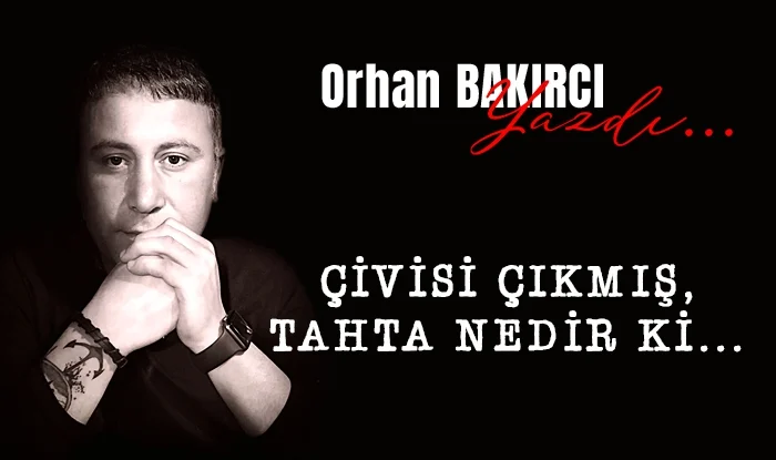 civisi cikmis tahta nedir ki 1721209764