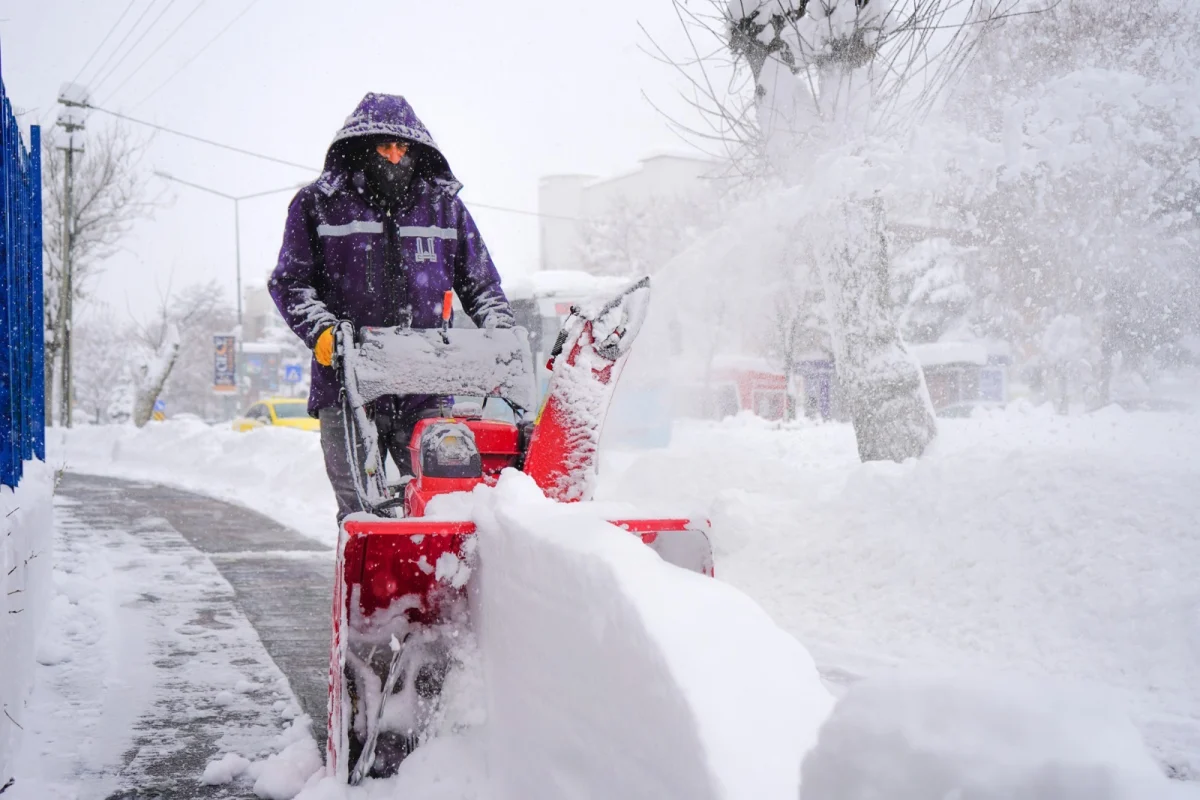 e6d9bc9b 41ac 432a 94aa b321e8f20404 1200