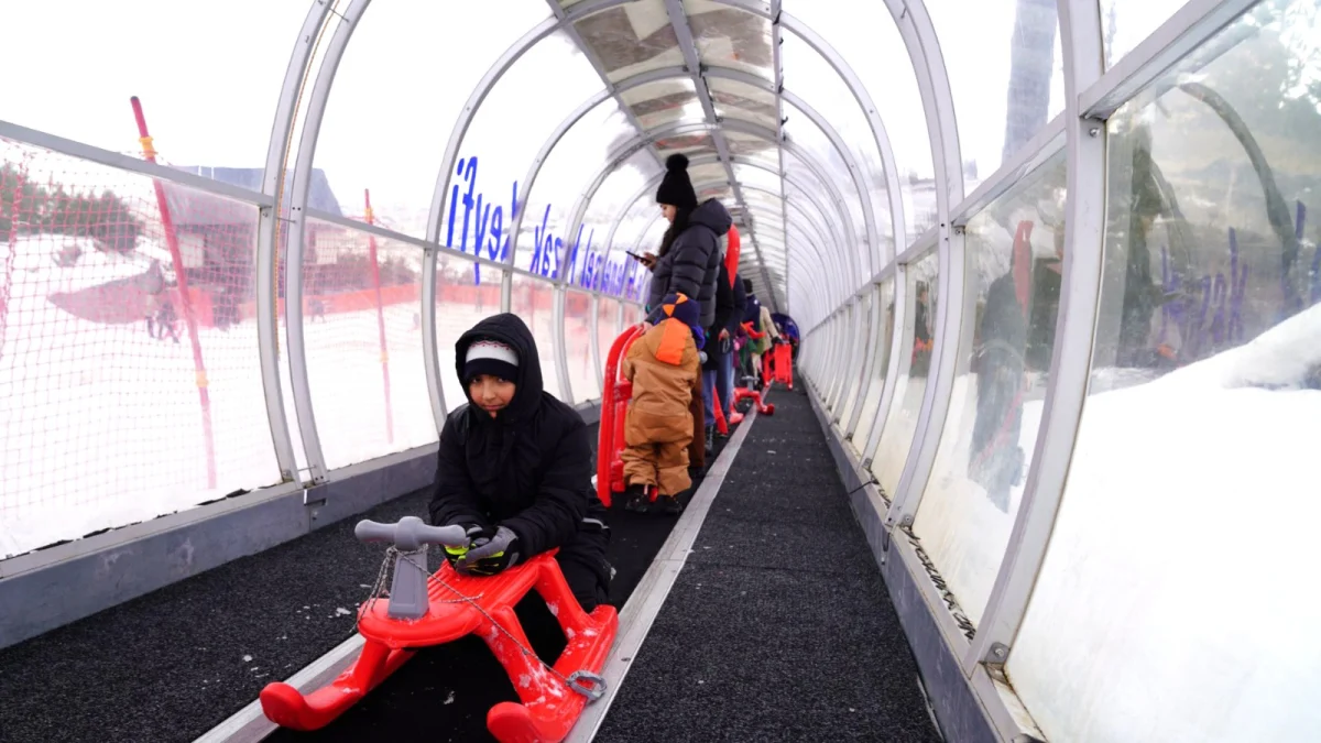 photo 2026 02 01 15 28 42 3 1200