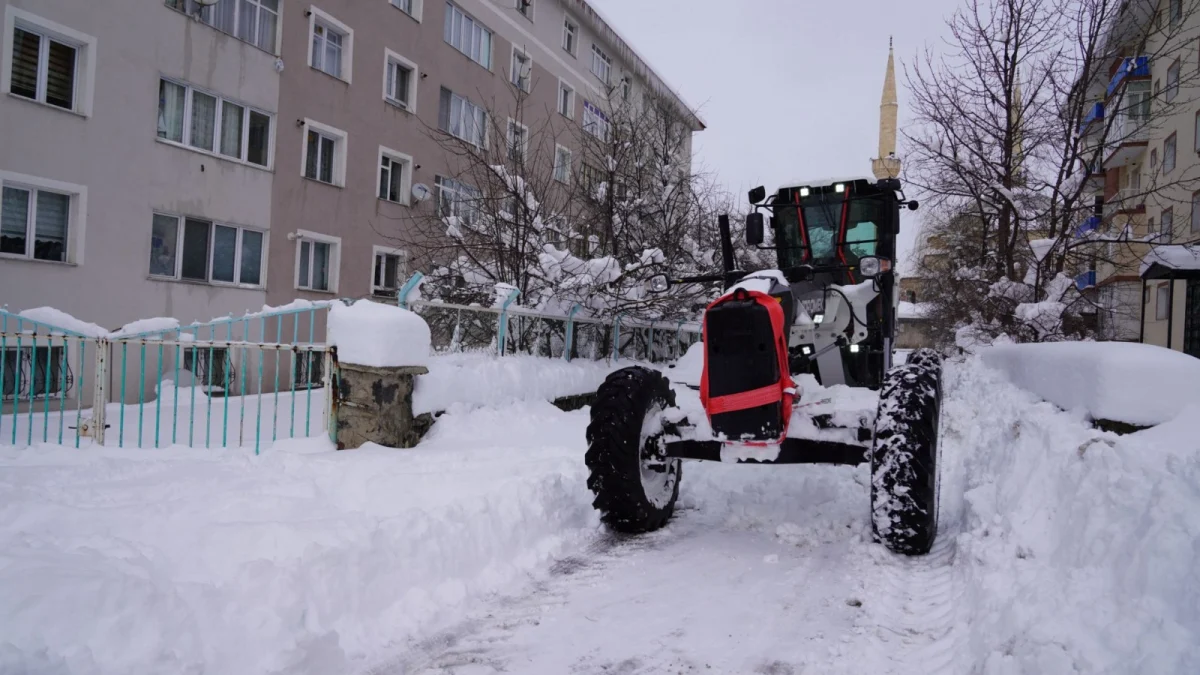 photo 2026 02 27 15 55 36 1200