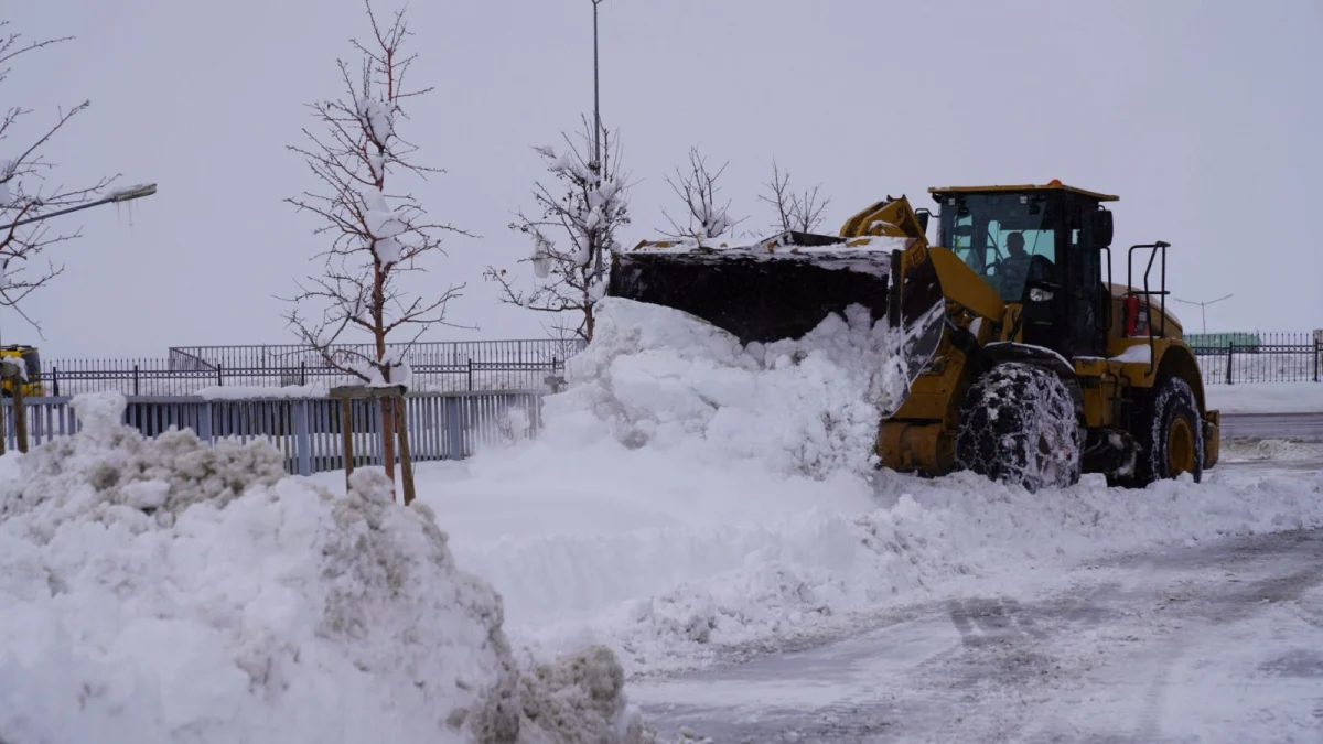 photo 2026 02 27 15 55 37 1200