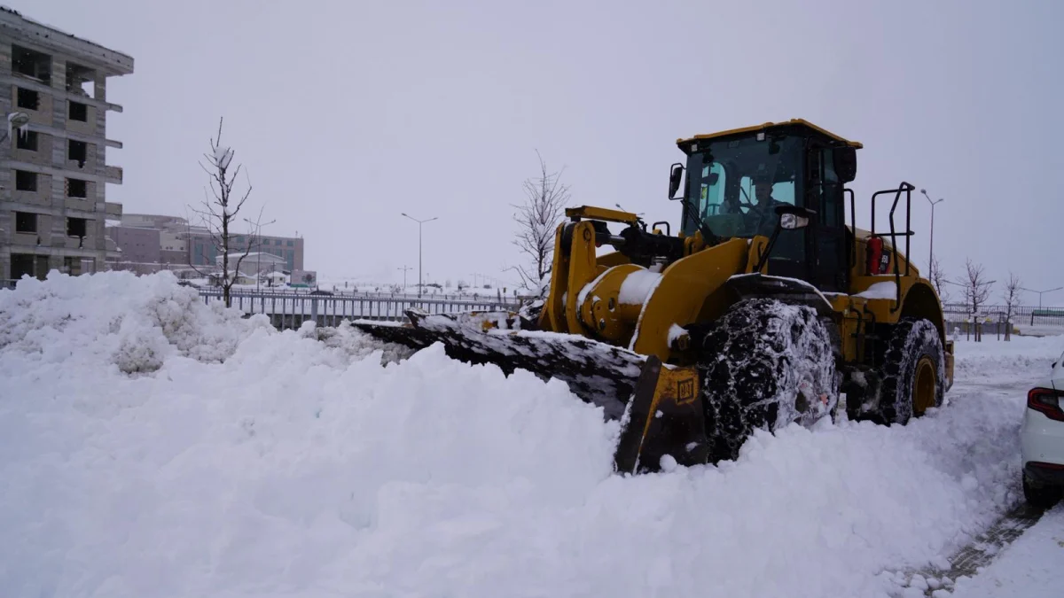 photo 2026 02 27 15 55 37 4 1200