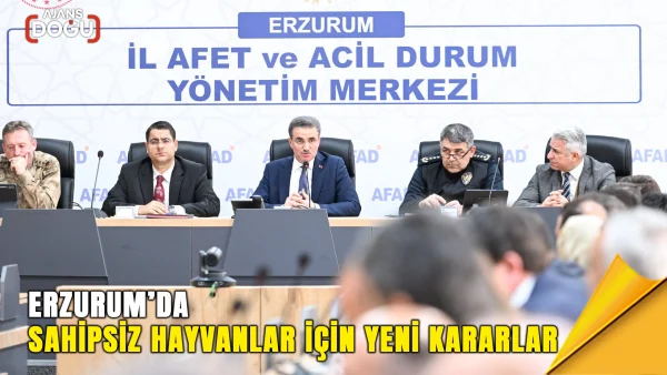 erzurumda-sahipsiz-hayvanlar-icin-yeni-kararlar