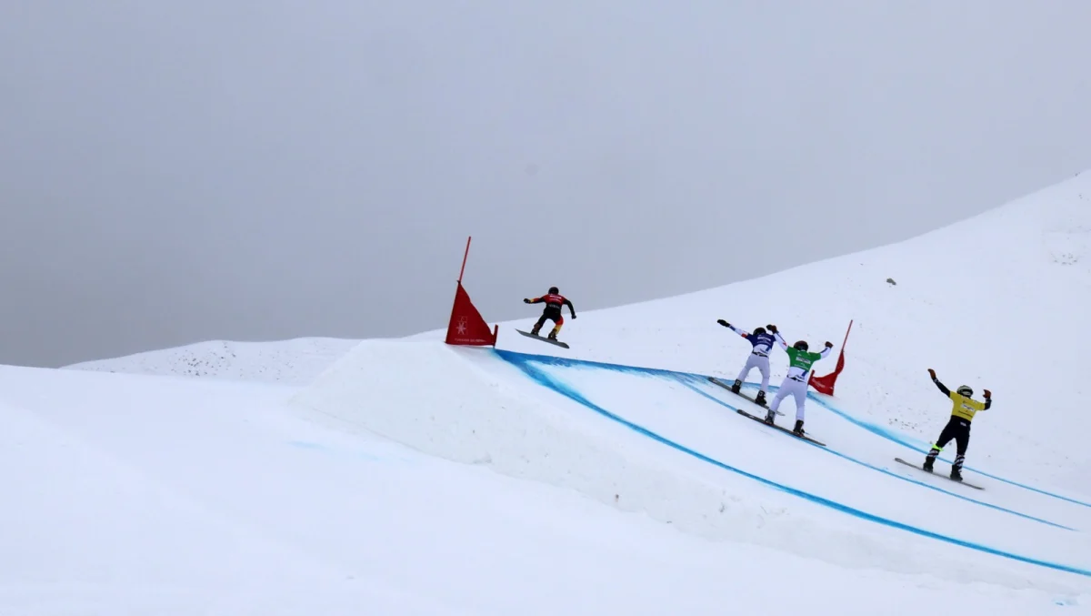 photo 2026 03 06 16 07 55 2 1200