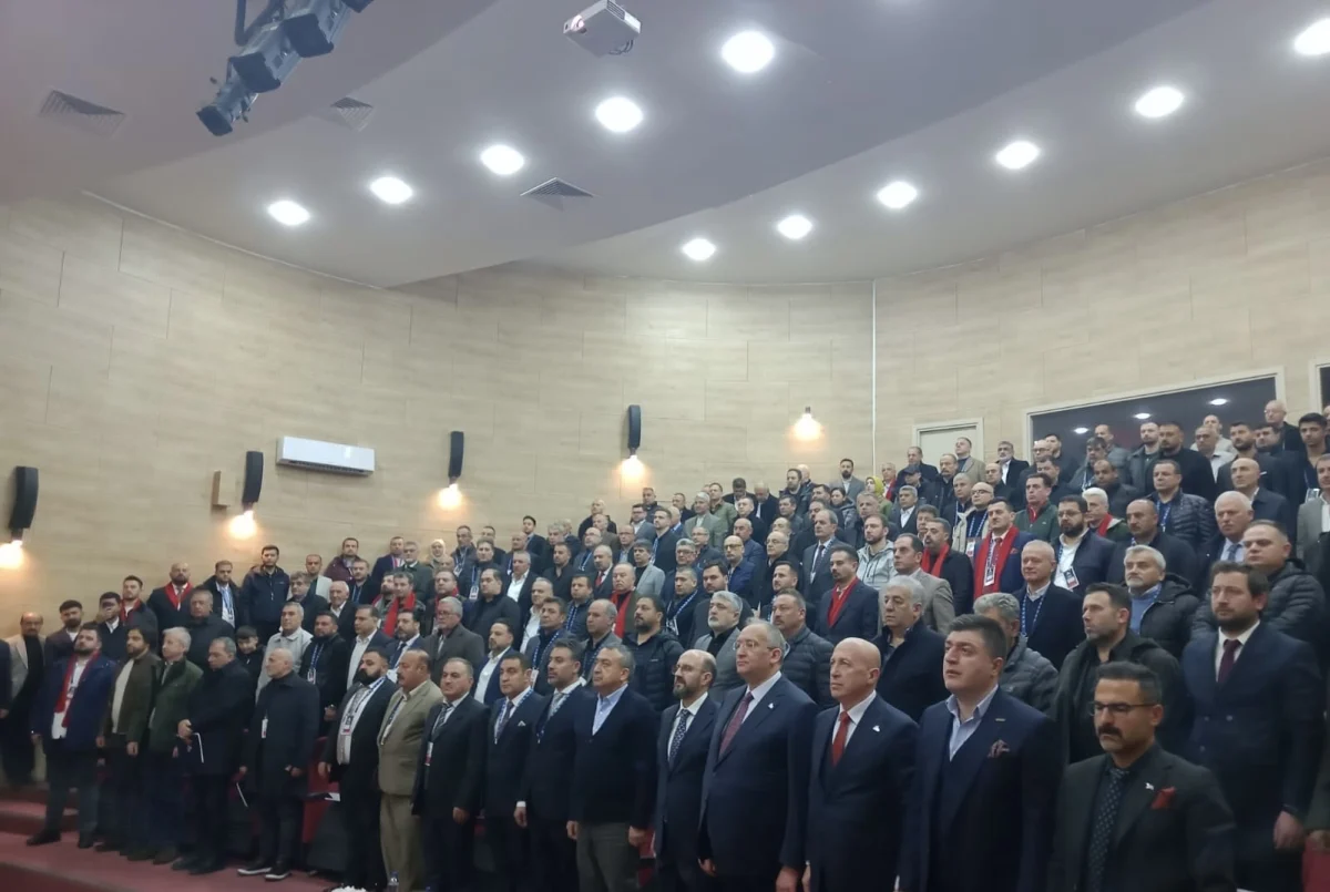 b7a728e0 efd9 4eb7 b429 729ac84a723c 1200