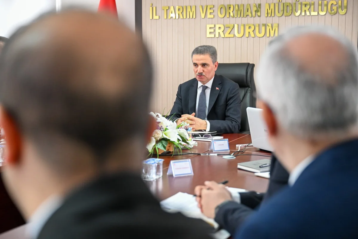 jpeg goruntusu 49d4 b6c3 82 0 1200