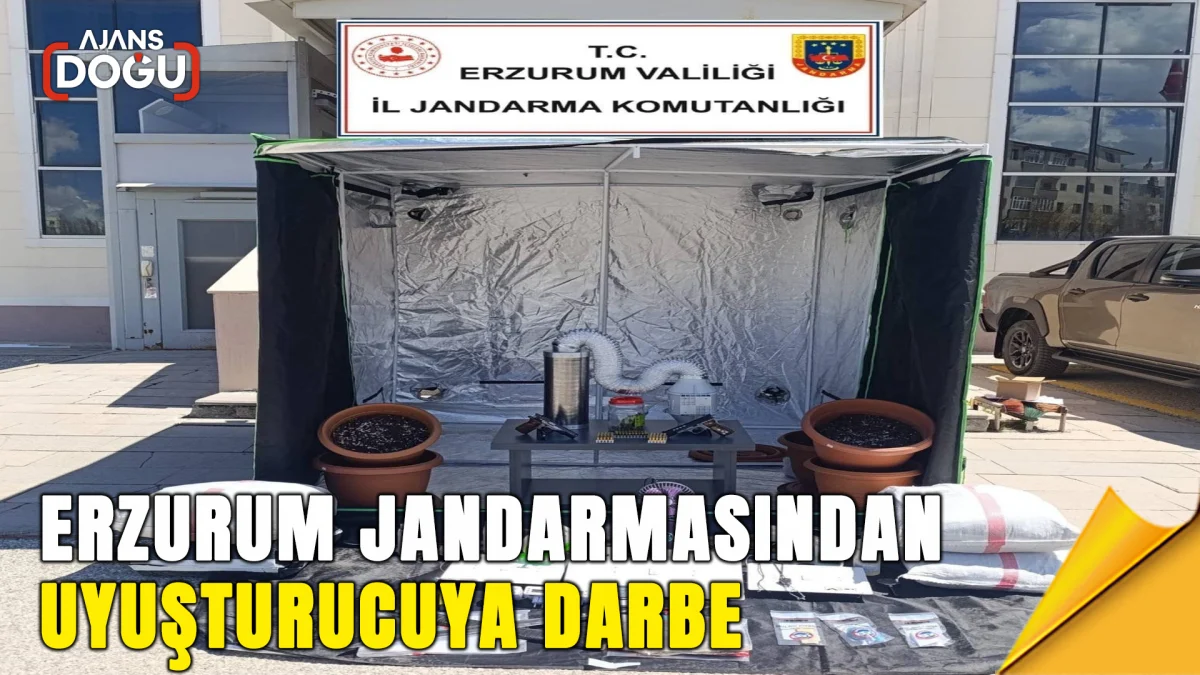 erzurum’da jandarma ekiplerinin yürüttüğü narkotik operasyonlarında bonzai, skunk ve metamfetamin ele geçirilirken 31 şüpheli hakkında adli işlem yapıldı.